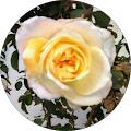 Valeria S. profile picture